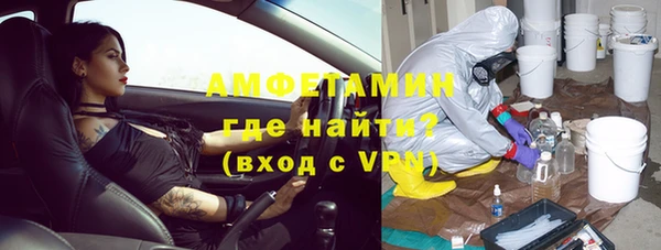 прущие грибы Балахна