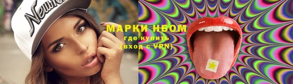 прущие грибы Балахна