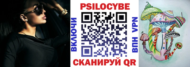 Галлюциногенные грибы Psilocybe  Бирюсинск 